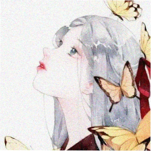 老碟片收藏家 头像